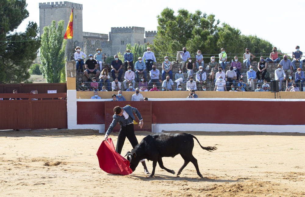 Ampudia, sede del Circuito de Novilladas sin picar de CyL | Todas las noticias de Palencia - Vimarsana News