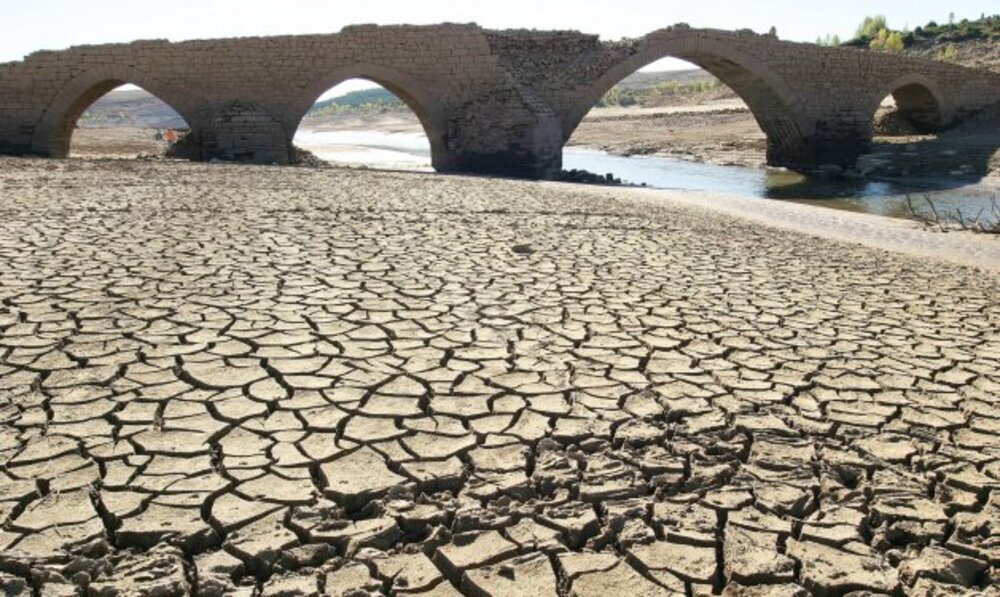 El futuro que espera al agricultor | Noticias El Día de Valladolid - Vimarsana News