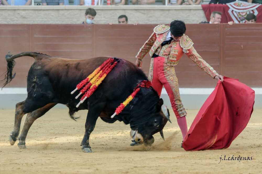 El palco no premió una buena actuación de Peñaranda - Vimarsana News