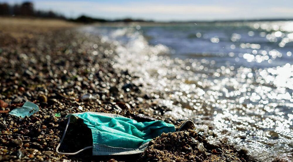 Basura invisible | Todas las noticias de Palencia - Vimarsana News