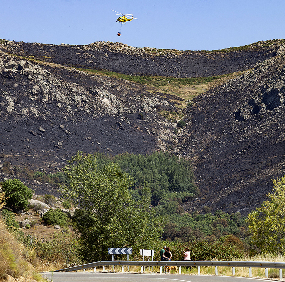 SEO BirdLife subraya afectación del incendio a la Red Natura | Noticias Diario de Ávila - Vimarsana News