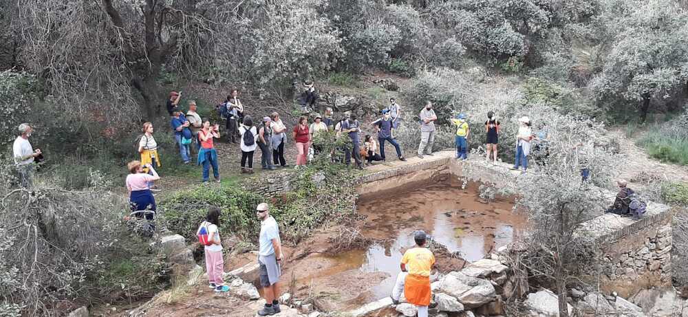 ARBA comienza a trabajar en Toledo por el bosque autóctono - Vimarsana News