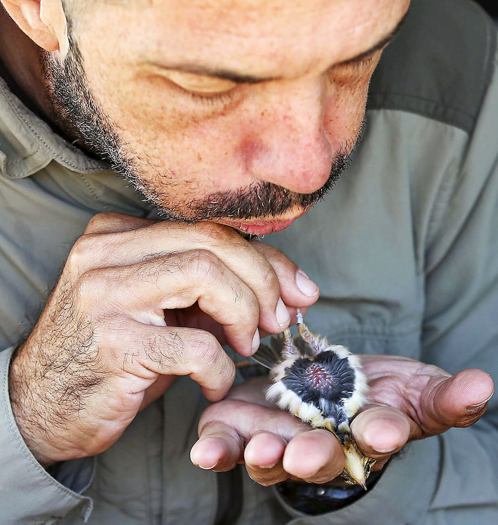 Un voluntariado que estudia las aves y los humedales | Todas las noticias de Palencia - Vimarsana News