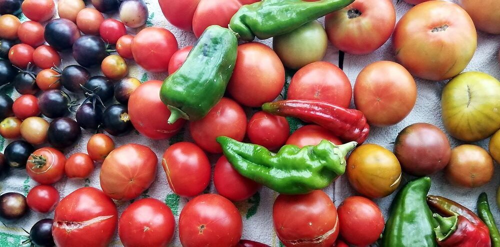 Frutas y verduras de cercanía, contra la huella de carbono - Vimarsana News