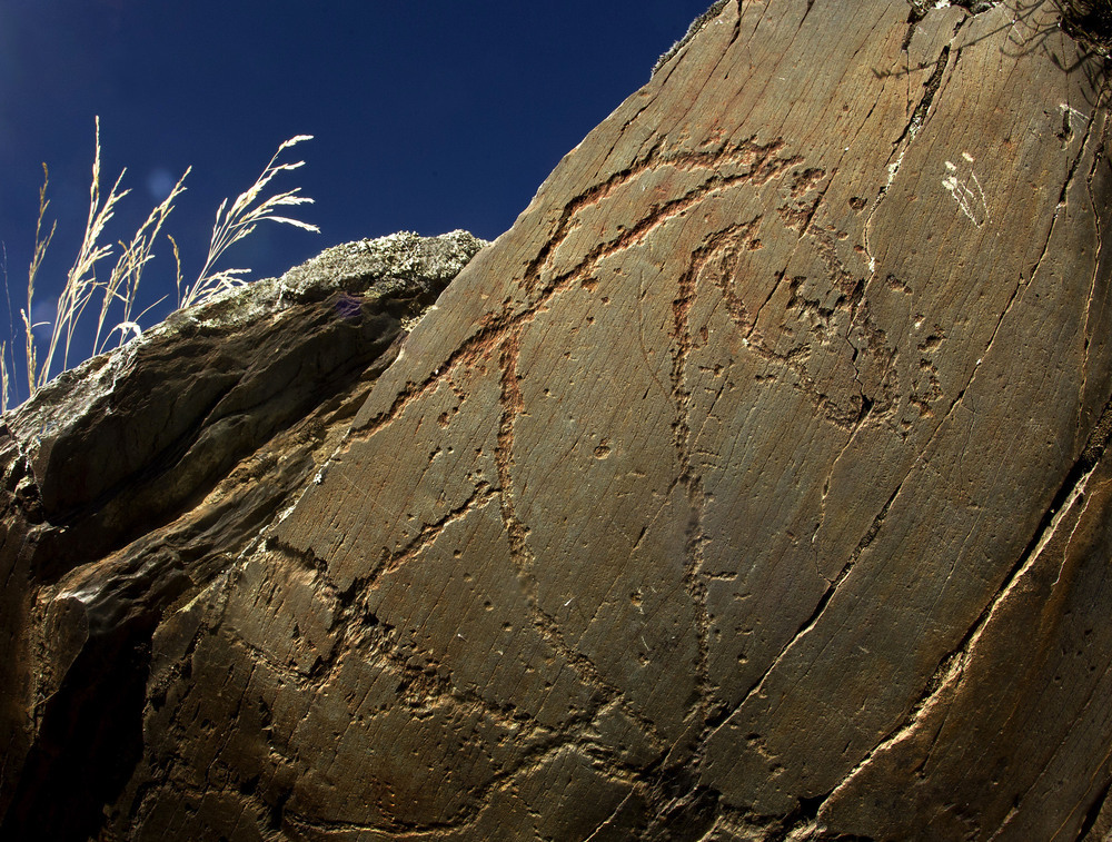 Descubren cinco nuevas rocas grabadas con figuras paleolíticas en el yacimiento de Siega Verde - Vimarsana News