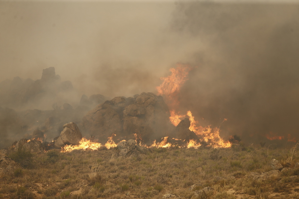 El fuego arrasa ya entre 5.000 y 6.000 hectáreas | Noticias Diario de Ávila - Vimarsana News