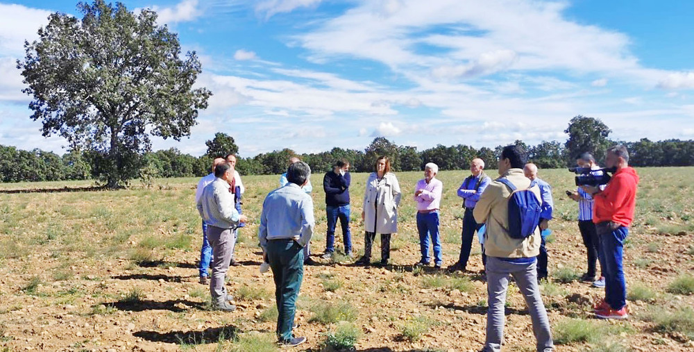 Investigación y la formación en la Dehesa de Tablares | Todas las noticias de Palencia - Vimarsana News