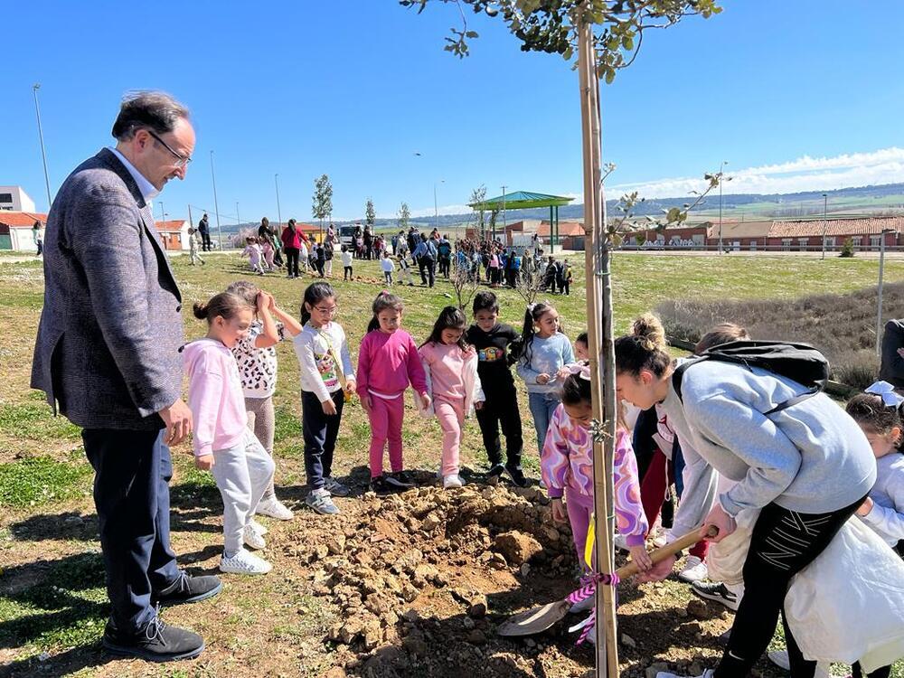 12 encinas para los entornos del Pabellón Mariano Haro