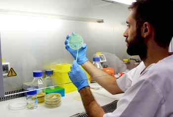 Aumentan a 226 los casos confirmados por listeria en España