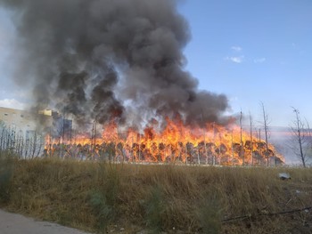 La federación de hockey cree que el incendio se pudo evitar