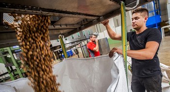 Un trabajador de la empresa Pistachos del Sol, en Torralba de Calatrava, trabaja en el proceso de envasado del pistacho. 