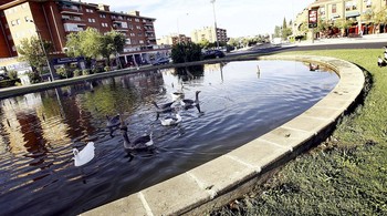 Denuncian riesgo sanitario en la rotonda 'de los patos'