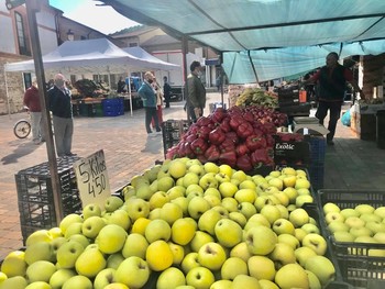 Las 9 ZBS en naranja acumulan 63 PCR positivos