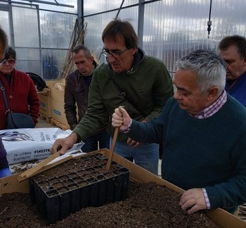 150.000 bellotas contra el cambio climático