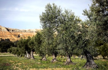 La UE presiona en la guerra comercial con aranceles a EEUU