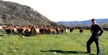 Los primeros años de una explotación son siempre los más complicados.