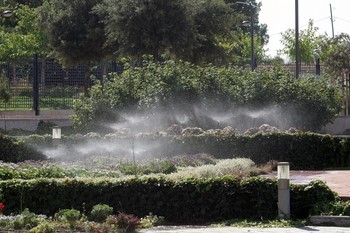 El Jardín Botánico de Albacete se abre a visitas guiadas