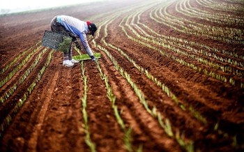 Se ignora al empleo como elemento dinamizador del mundo rural.