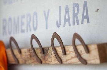 Una década a las riendas