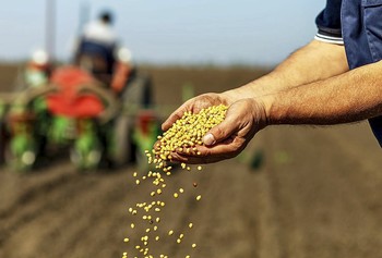 El reto de alimentar a 46 millones de personas