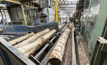 Instalaciones de una de las fábricas de pellets que existen en Castilla y León.  