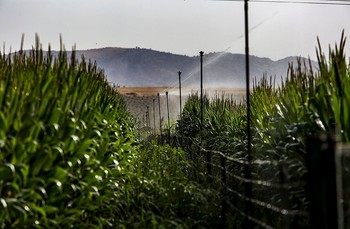 Un paso más hacia la doble tarificación para regantes