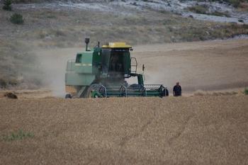 Advierten del abandono de 2,3 millones de hectáreas agrarias