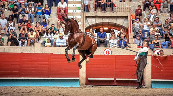 Exhibición ecuestre en solidaridad con la ELA