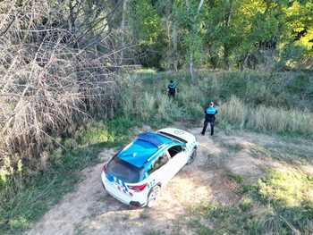 La vaquilla que se fugó en Laguna sigue sin ser localizada