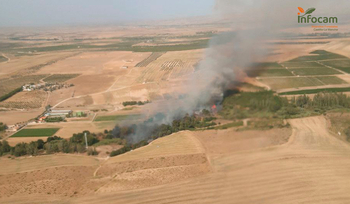 Extinguido el incendio forestal de Puebla de Don Rodrigo