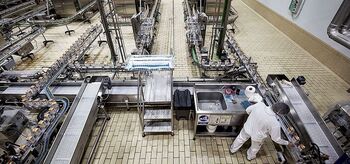 El 3% de empresas de alimentación tiene más de 50 empleados