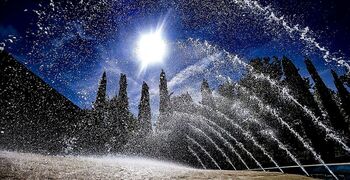 Un verano de sol y paraguas