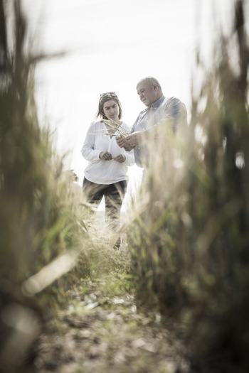 Récord anual de siniestralidad en un solo semestre