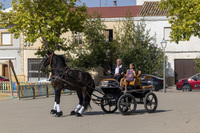 Tradicional cabalgata ecuestre